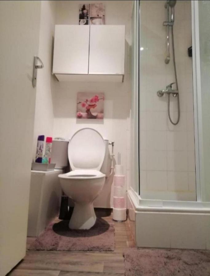 Appartement T1 bis calme proche centre ville à Saint-Etienne  Extérieur photo