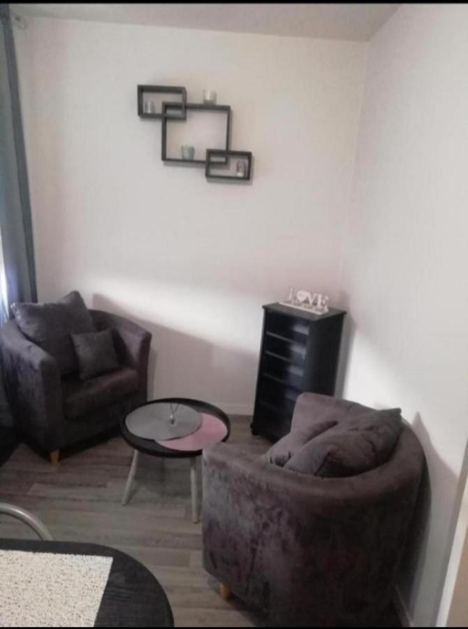 Appartement T1 bis calme proche centre ville à Saint-Etienne  Extérieur photo