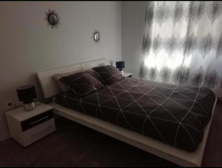 Appartement T1 bis calme proche centre ville à Saint-Etienne  Extérieur photo